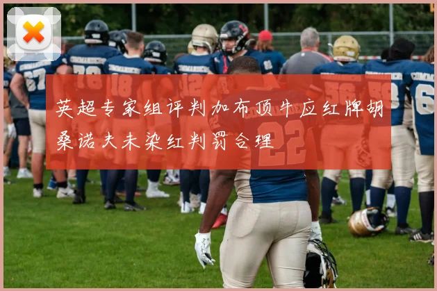 英超专家组评判加布顶牛应红牌胡桑诺夫未染红判罚合理